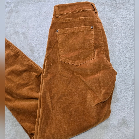Peruvian Connection Zoe Velveteen Pants Cinnamon Size 2 Like NEW Condition - Picture 2 of 8